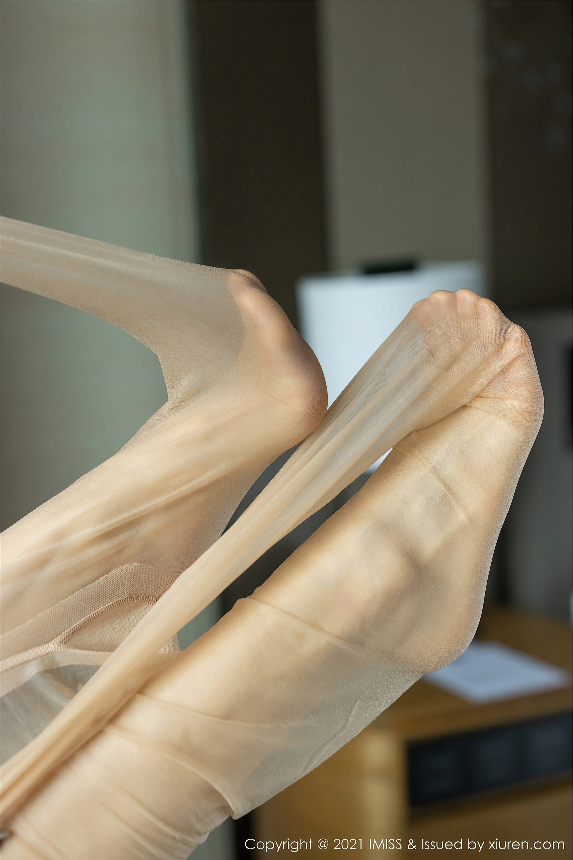 IMiss爱蜜社 2021.04.01 Vol.571 小狐狸Kathryn